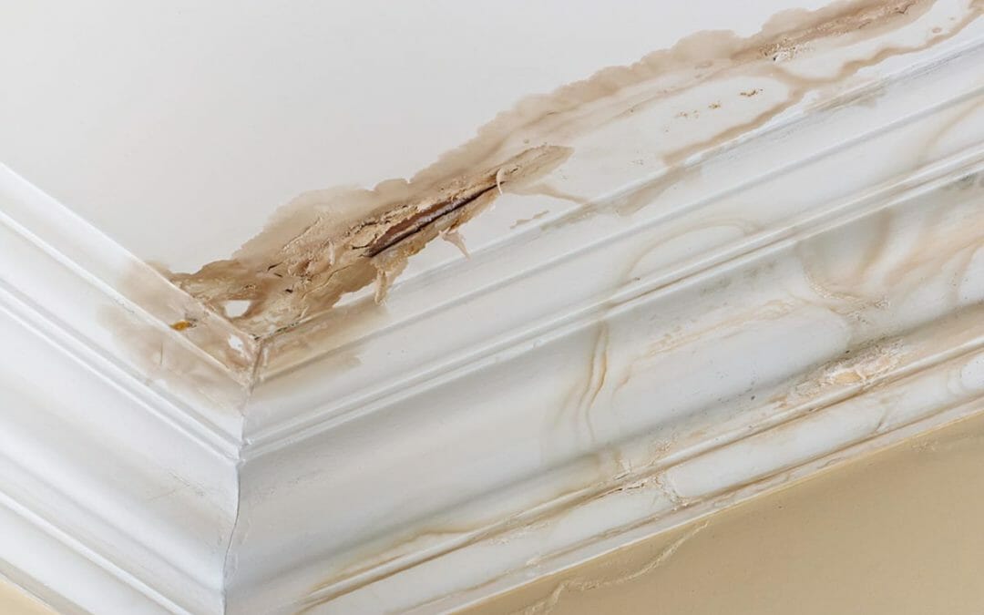 How To Know When Your Bradenton Home's Roof Is Due For A Replacement